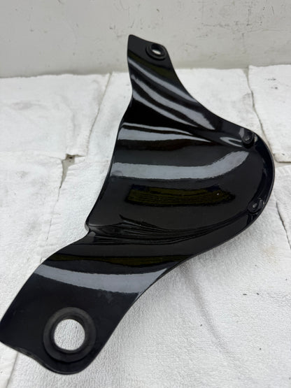Gilera Runner Wilkinson racing carbon windscherm
