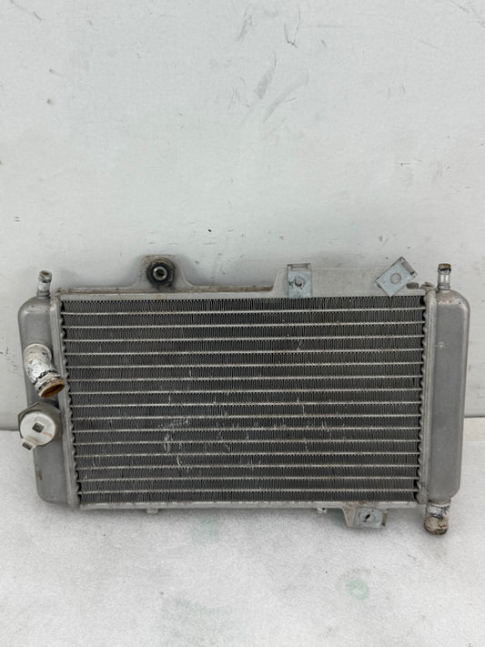 Gilera Runner DD radiateur 125cc 180cc