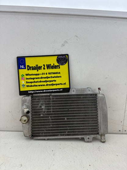 Gilera Runner DD radiateur 125cc 180cc