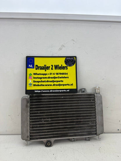 Gilera Runner DD radiateur 125cc 180cc