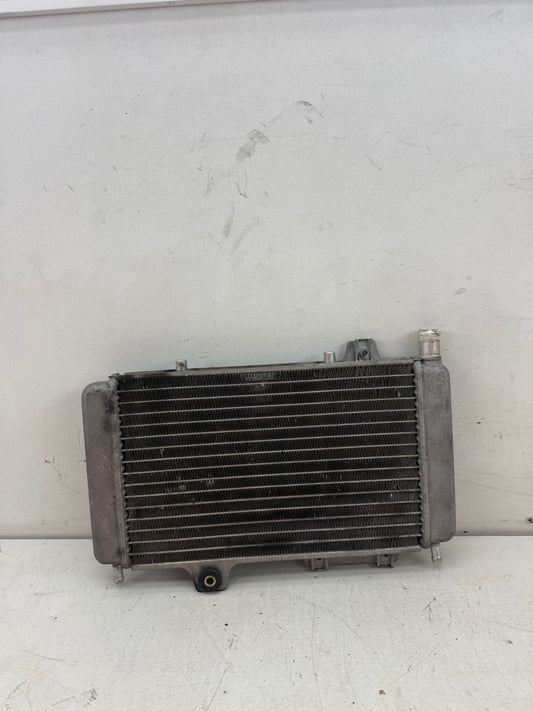 Gilera Runner DD radiateur 125cc 180cc