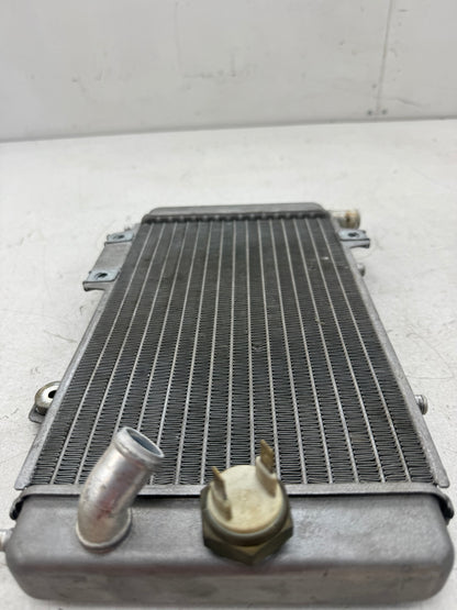 Gilera Runner DD radiateur 125cc 180cc