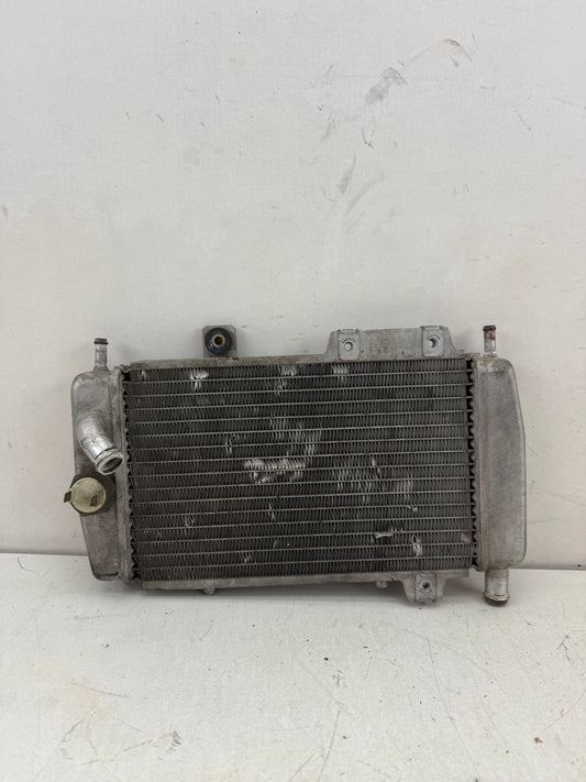 Gilera Runner DD radiateur 125cc 180cc
