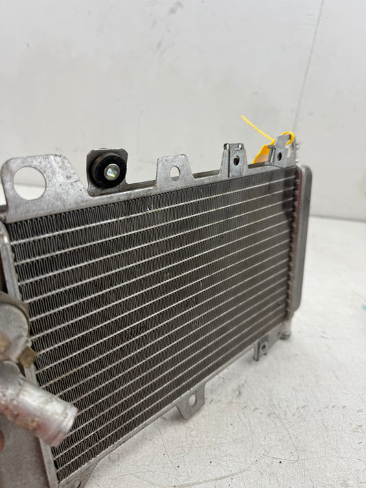 Gilera Runner SD radiateur 125cc 180cc