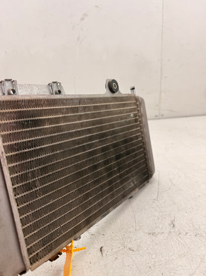 Gilera Runner DD radiateur 125cc 180cc