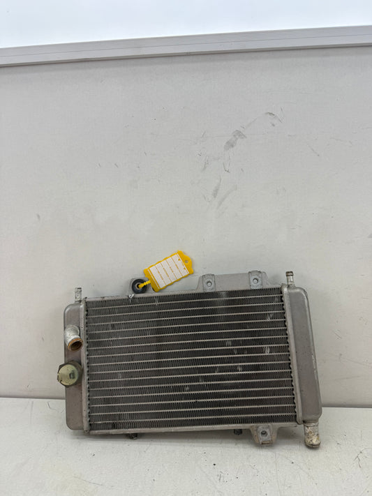 Gilera Runner DD radiateur 125cc 180cc