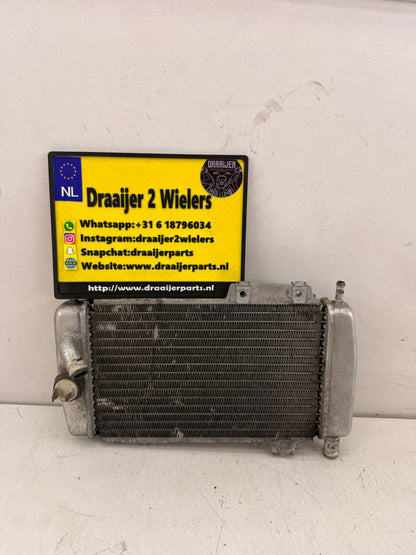 Gilera Runner DD radiateur 125cc 180cc