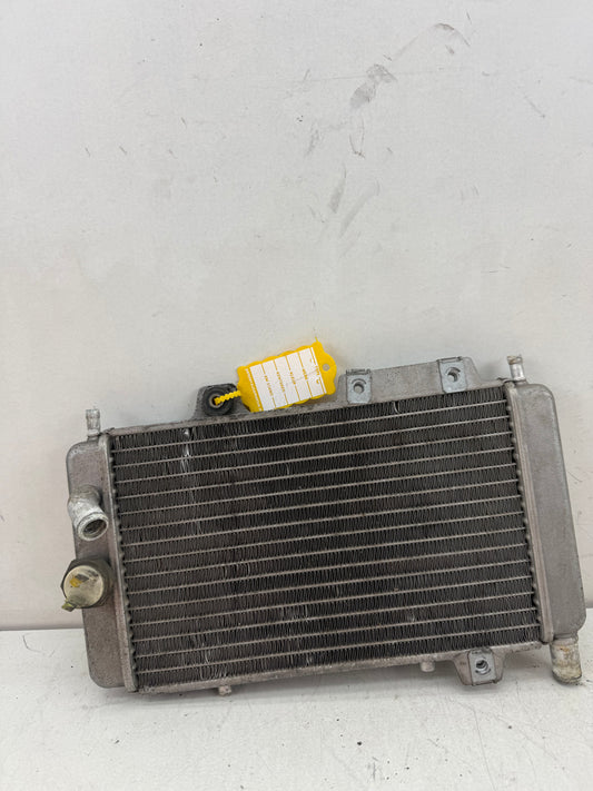 Gilera Runner DD radiateur 125cc 180cc