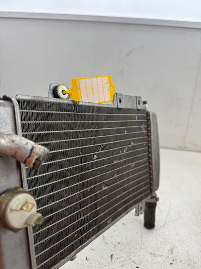 Gilera Runner DD radiateur 125cc 180cc