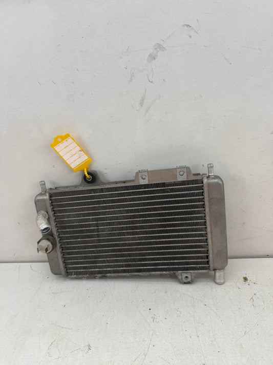 Gilera Runner DD radiateur 125cc 180cc