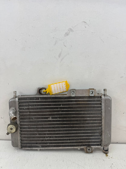 Gilera Runner DD radiateur 125cc 180cc