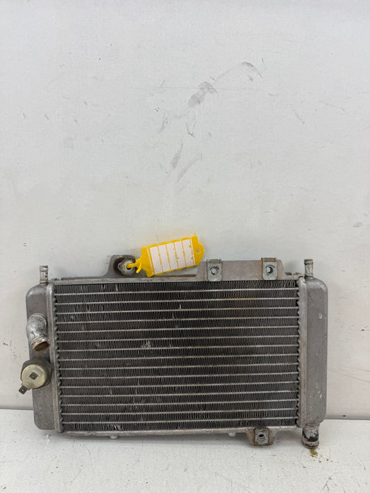 Gilera Runner DD radiateur 125cc 180cc
