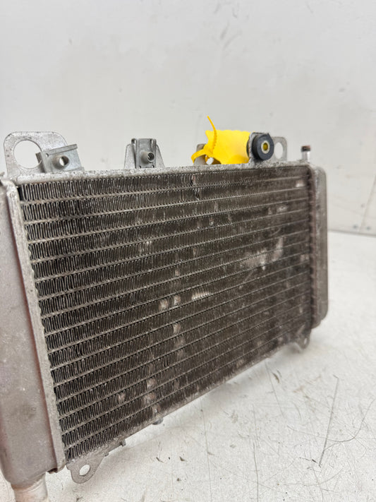 Gilera Runner SD radiateur 125cc 180cc