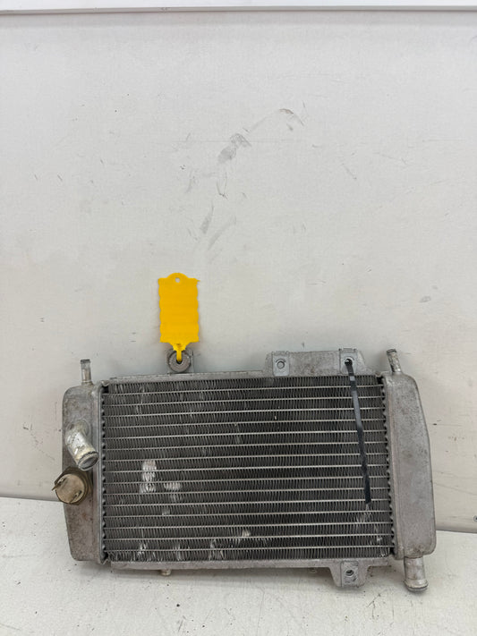 Gilera Runner DD radiateur 125cc 180cc